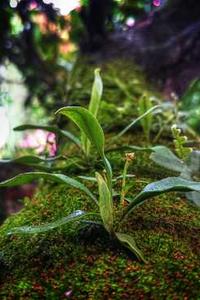 会课学生版苹果版修改密码-第2张图片-太平洋在线下载 会课学生版苹果版修改密码-第2张图片-太平洋在线下载