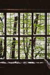 战法加点详解版免费版苹果-第3张图片-太平洋在线下载 战法加点详解版免费版苹果-第3张图片-太平洋在线下载