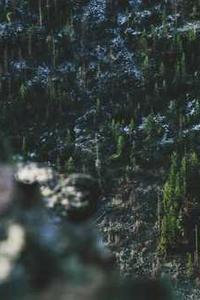 idss苹果版ip地址