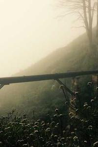 三国志 手机版