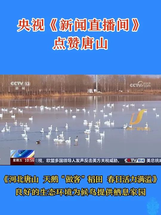 唐山新闻电话客户端唐山广播电视台客户端-第2张图片-太平洋在线下载
