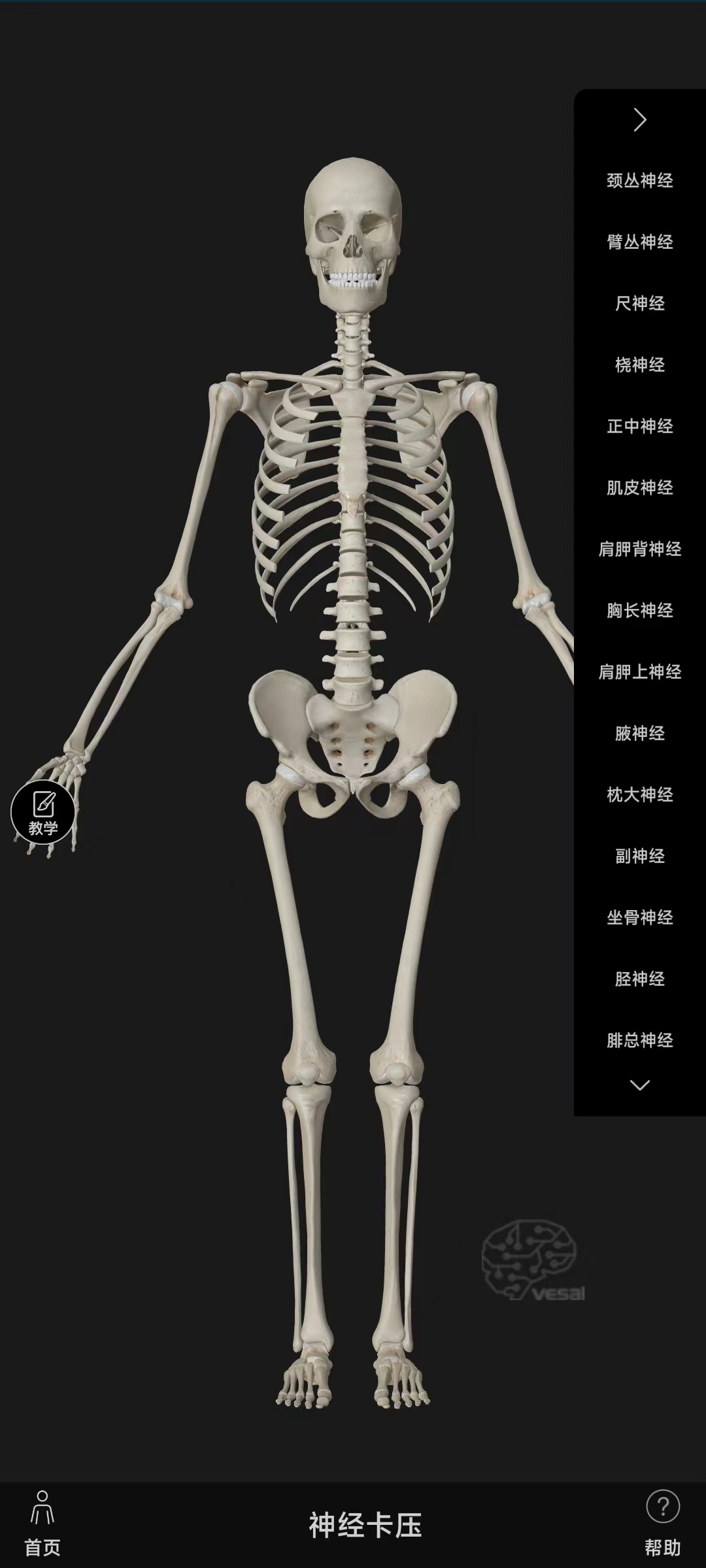 解剖大师客户端免费客户管理记账软件-第2张图片-太平洋在线下载